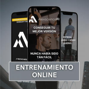 Entrenamiento online